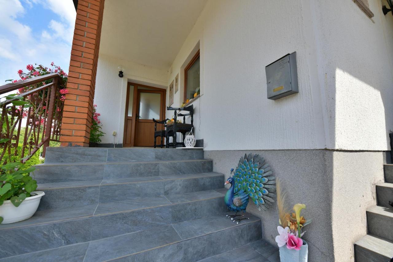 Deluxe Apartments Franjkovic Seliste Dreznicko Εξωτερικό φωτογραφία
